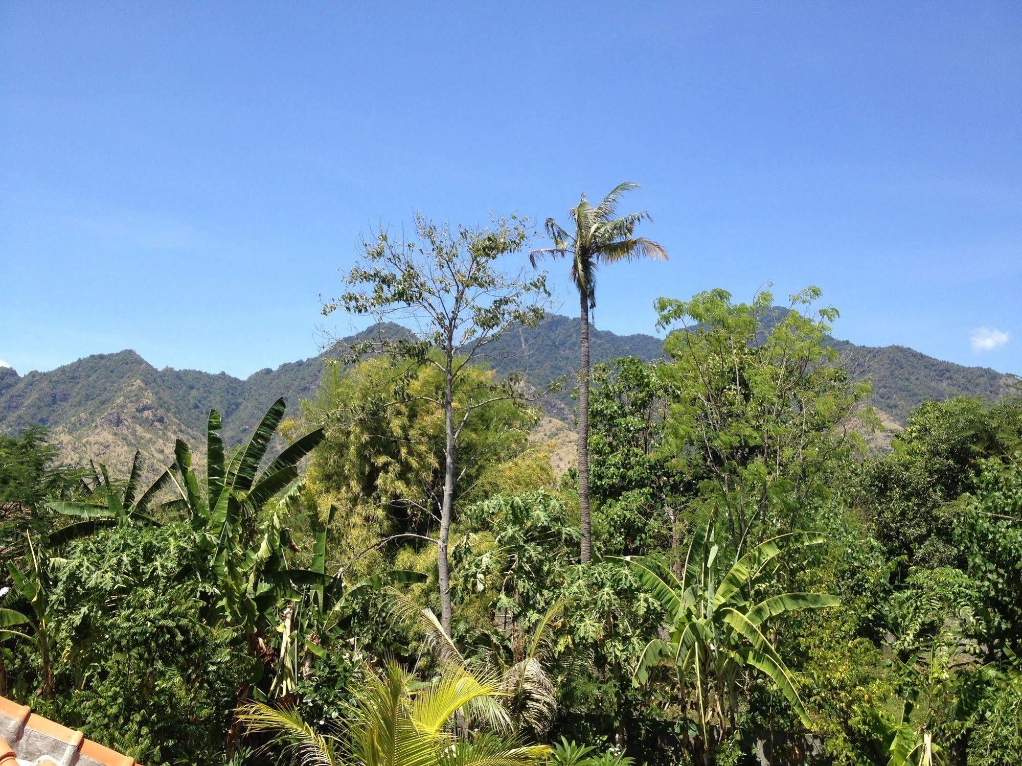 Hotel Hibiscus House Bali Pemuteran Esterno foto