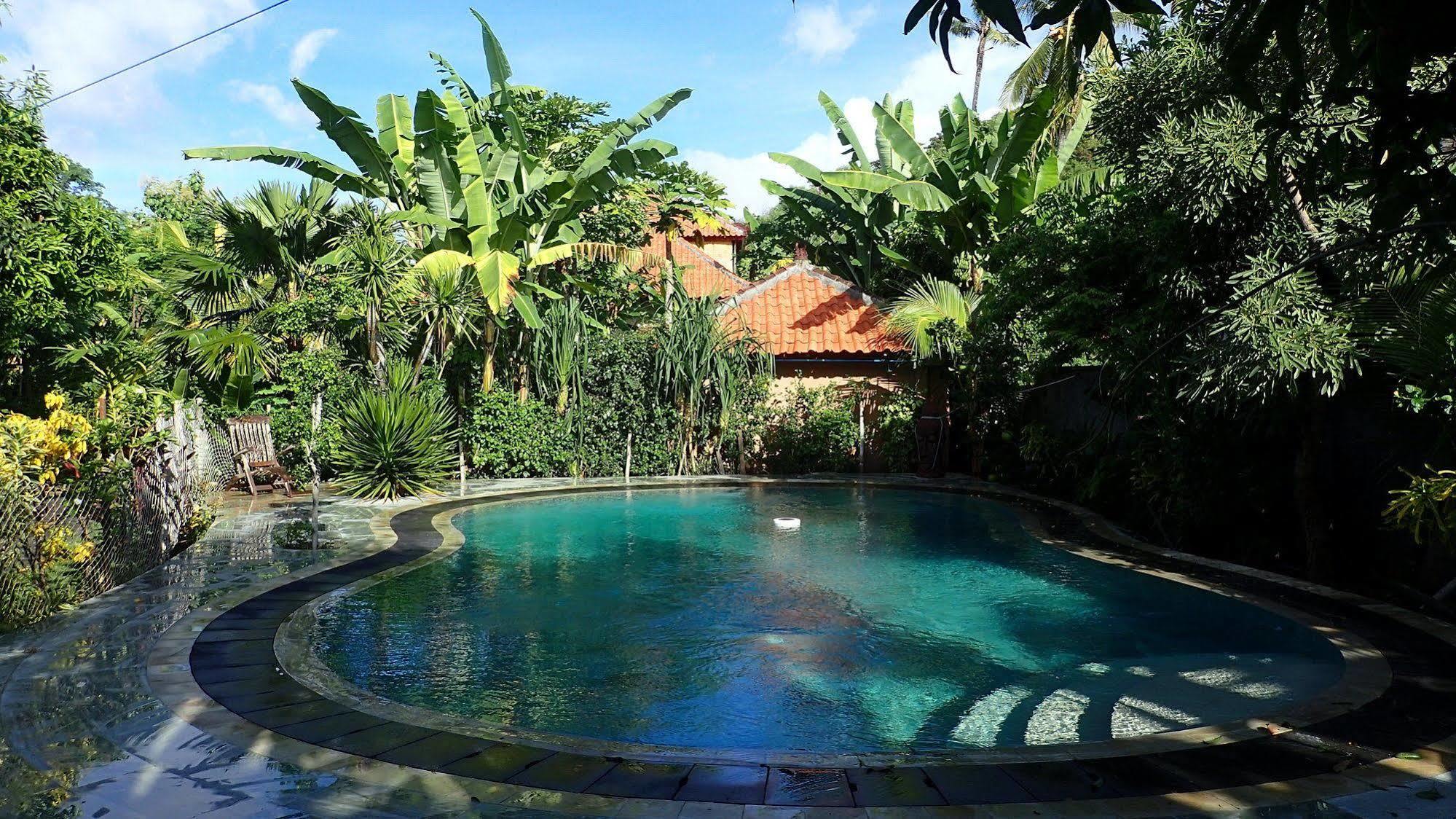 Hotel Hibiscus House Bali Pemuteran Esterno foto